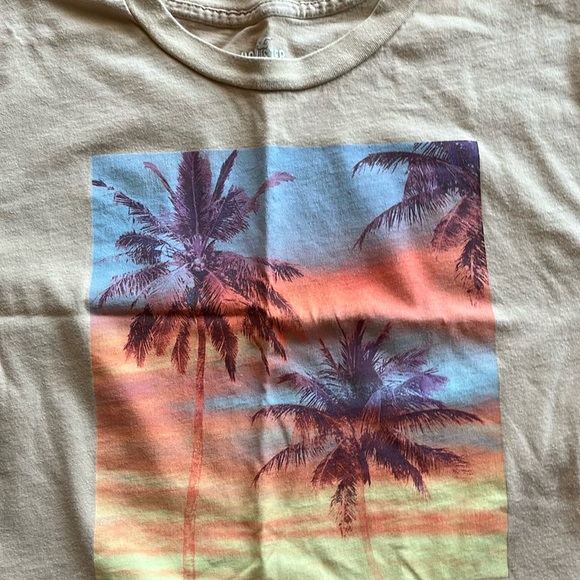 Hollister beach graphic cropped tee - Picture 7 of 7